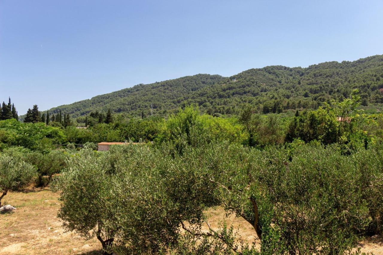 Apartment Mandalina House Stari Grad  Esterno foto